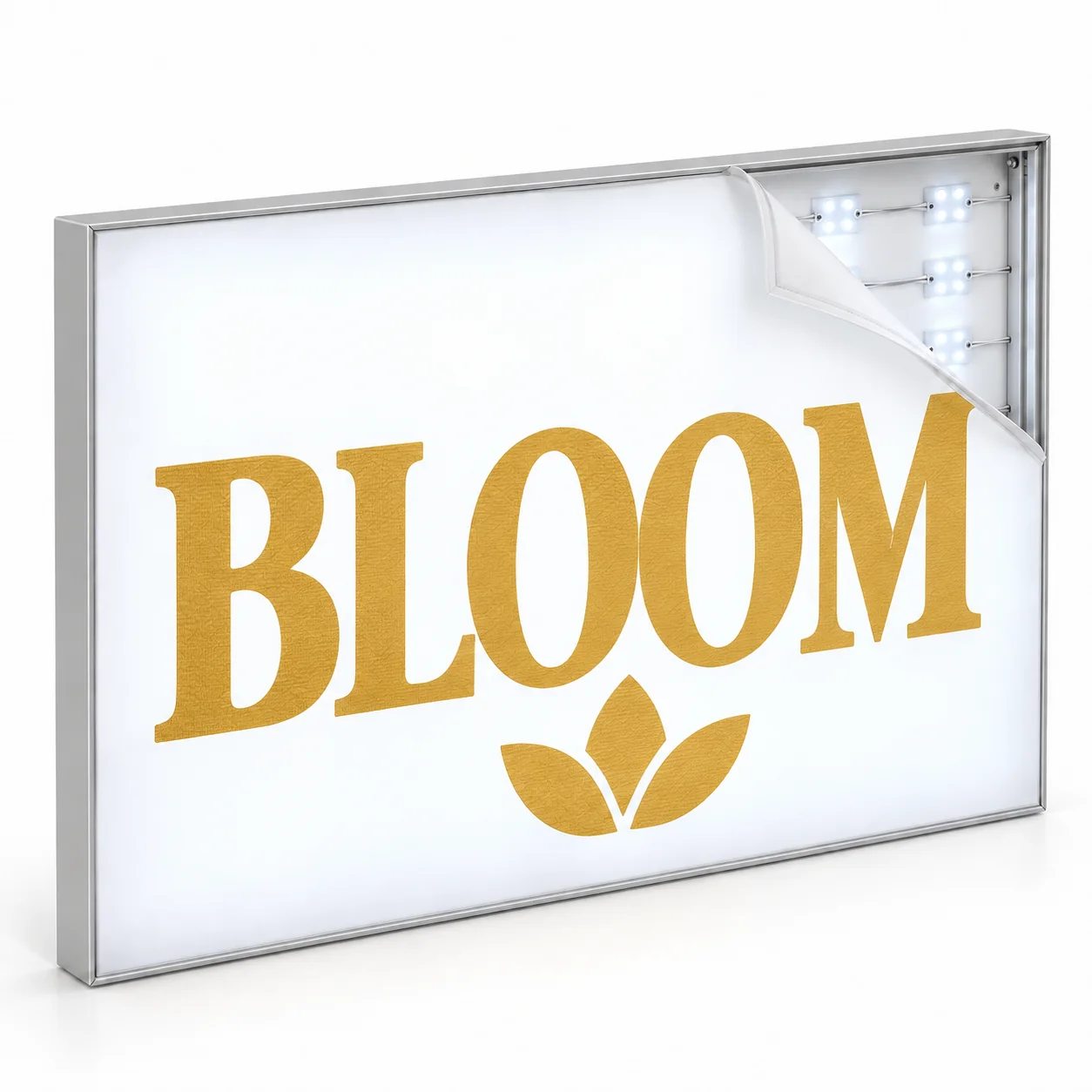 LED Fabric Lightbox — illustrative product sample